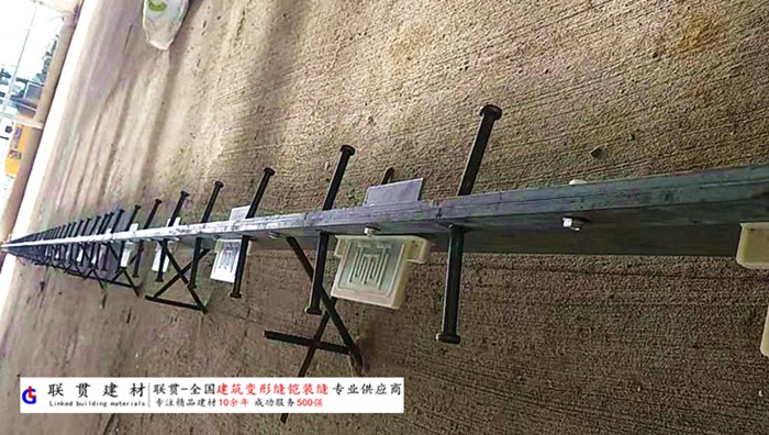 四川省铠甲缝施工案例